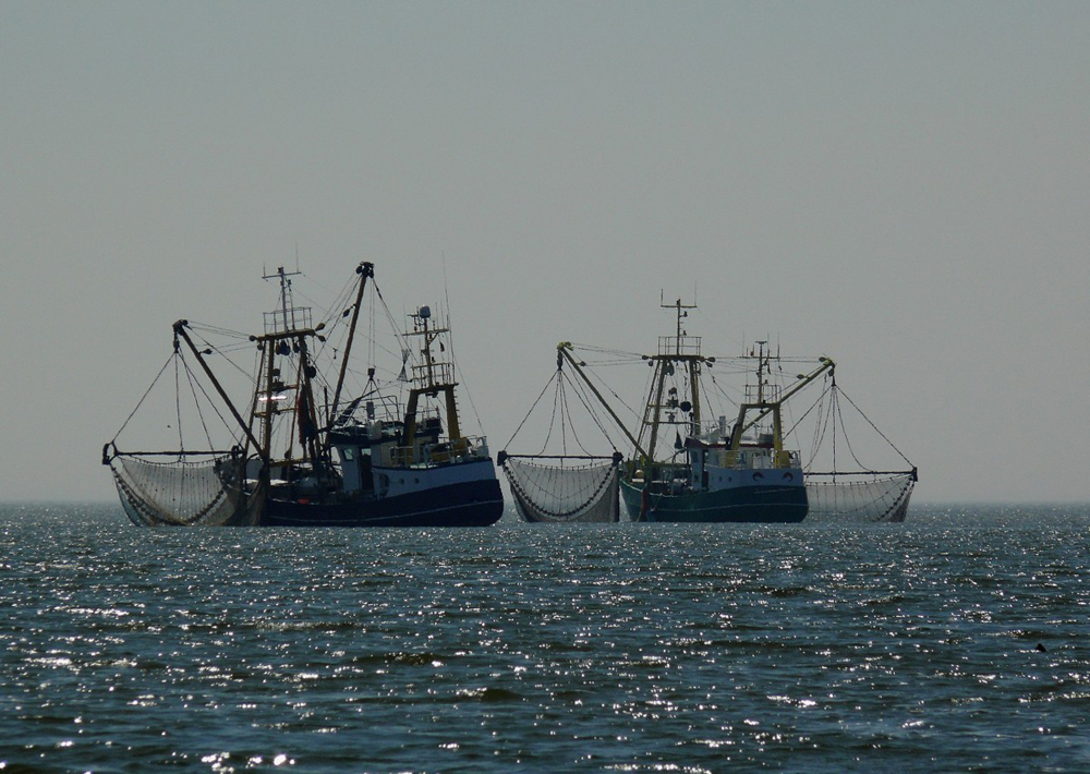 Fisheries Ships Ocean